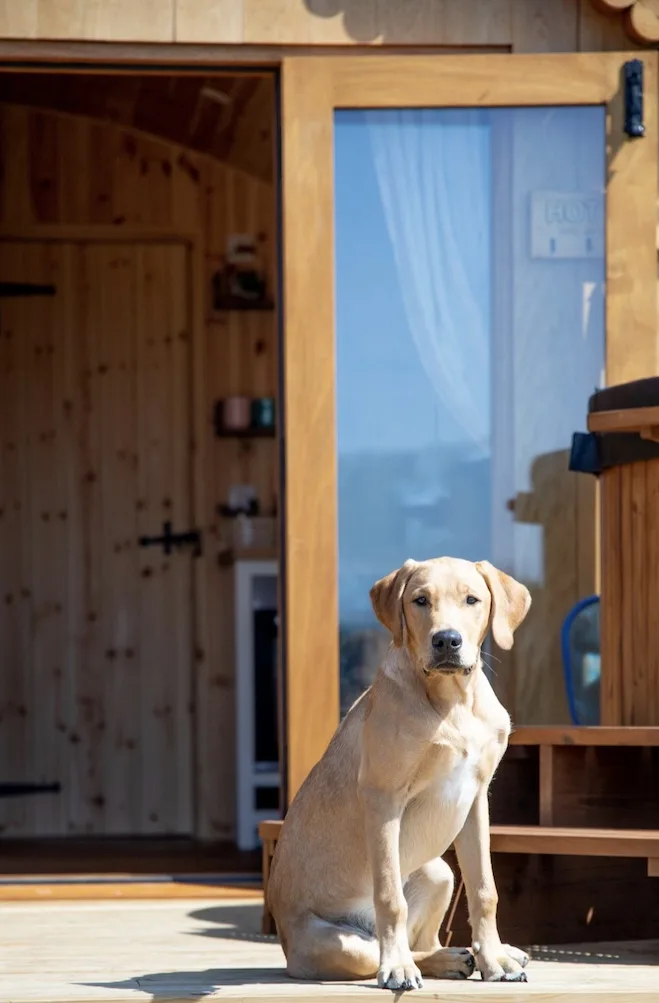 glamping in sussex with dogs