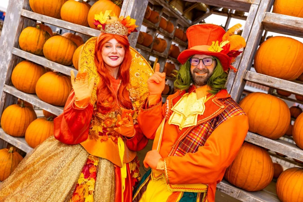 pumpkin picking sussex