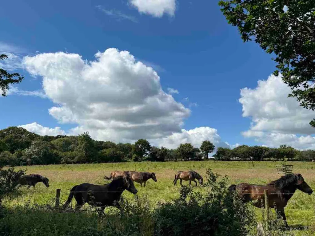 day out with kids in sussex 