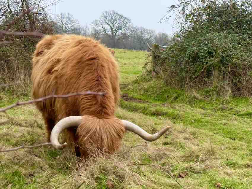 family day out West Sussex