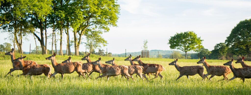 best family days out in sussex