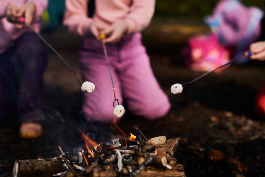 half term in chichester 