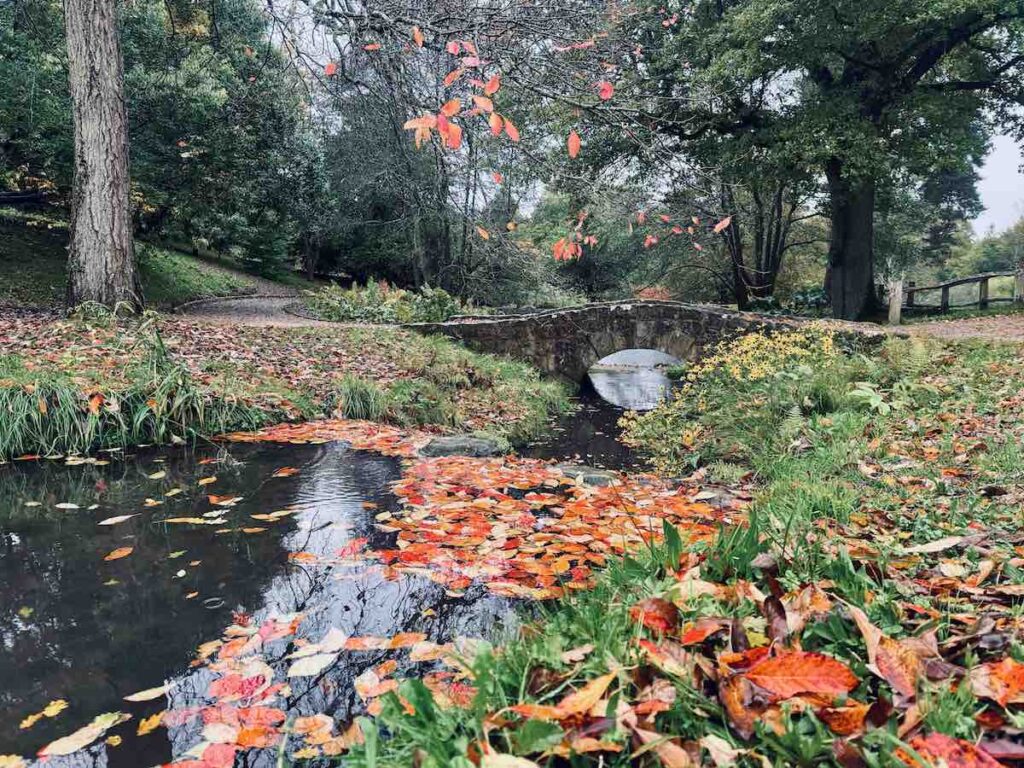 gardens in sussex and surrey
kew gardens in Sussex
