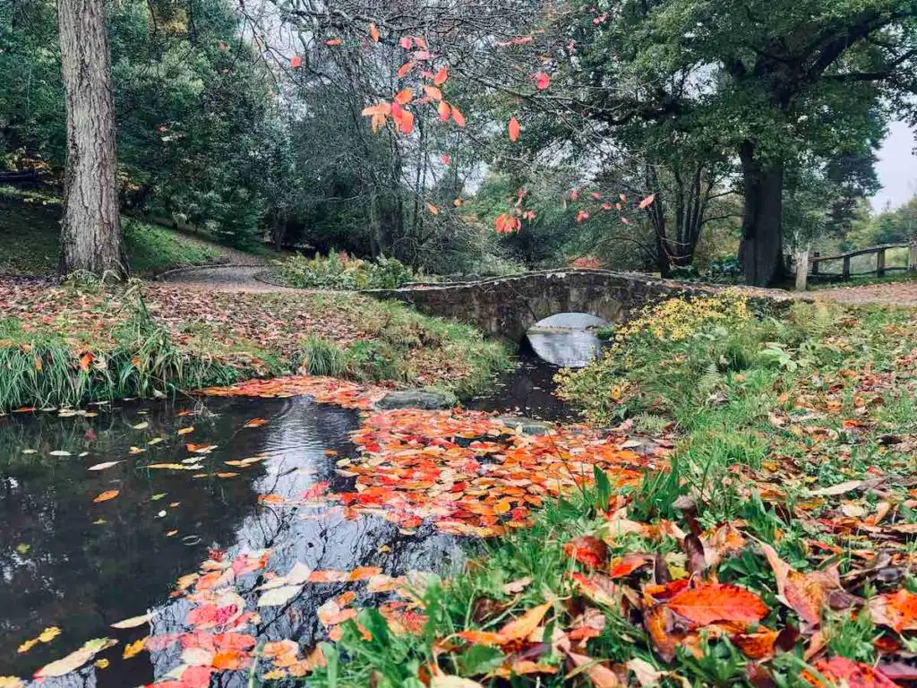 gardens in sussex and surrey
kew gardens in Sussex