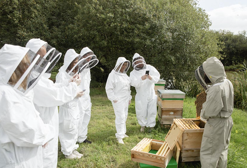 days out for couples in sussex