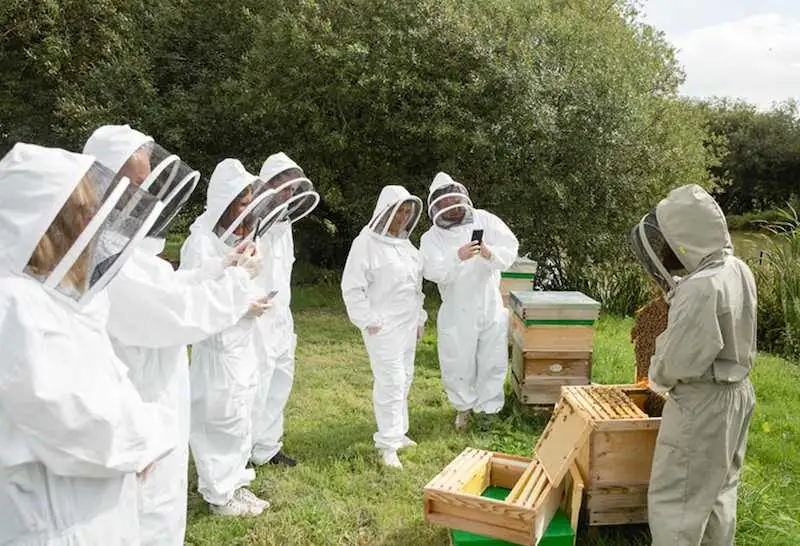 days out for couples in sussex