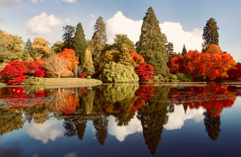 gardens in sussex
