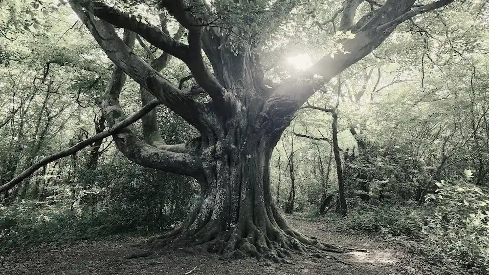 haunted places in sussex