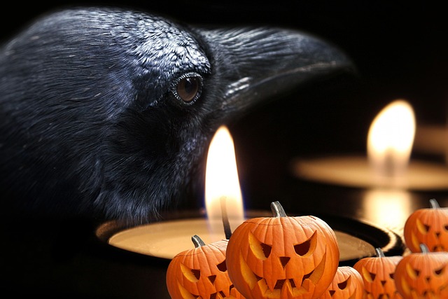 halloween events in sussex