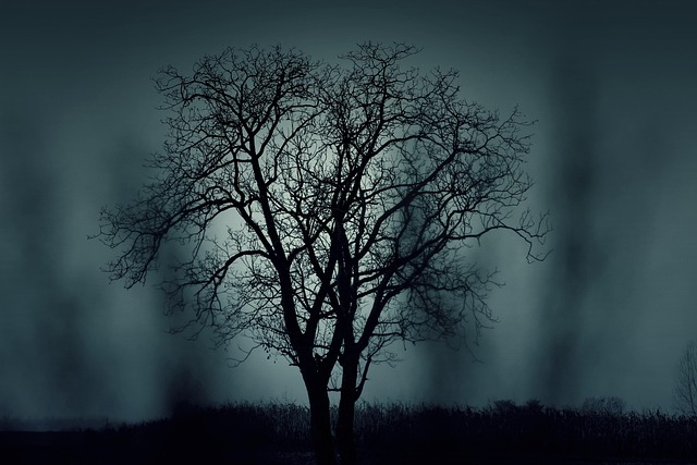 halloween events west sussex
