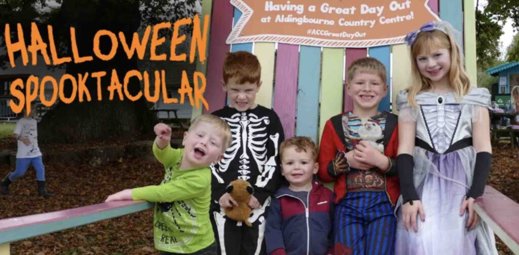 october half term events sussex