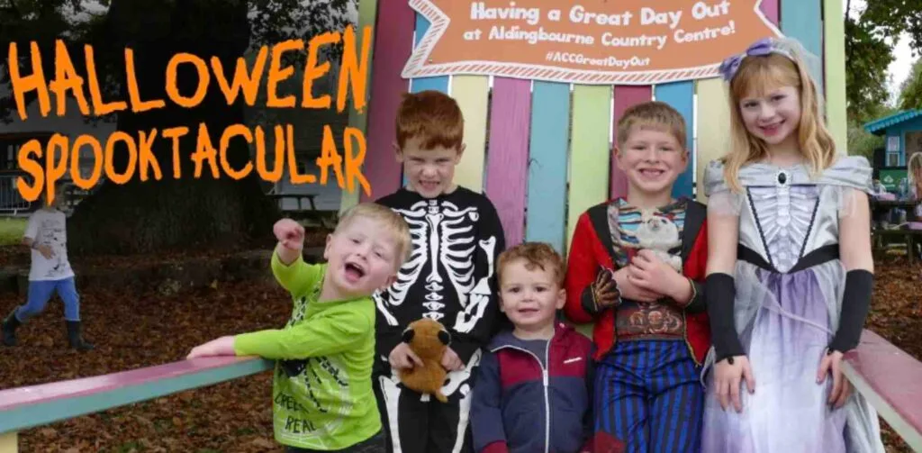 october half term events sussex