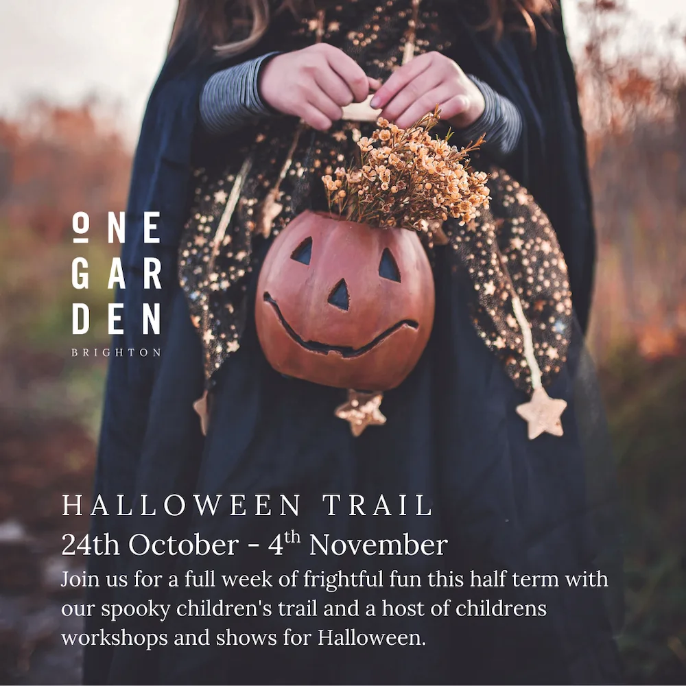 october half term brighton and hove
