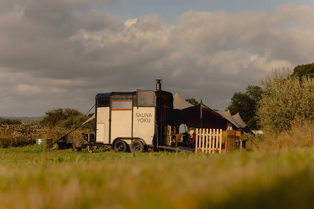 wild saunas in sussex