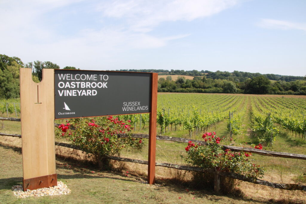 wine tour sussex
