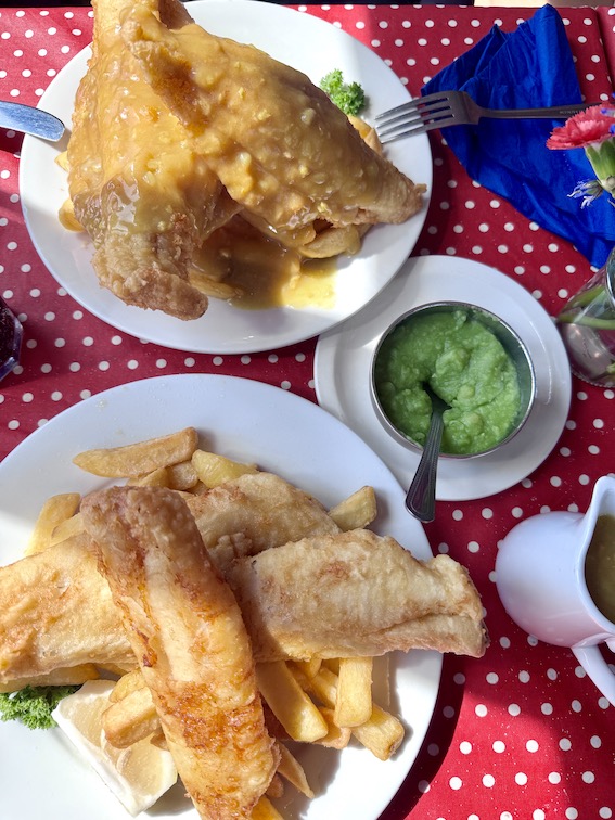 fish and chips hastings