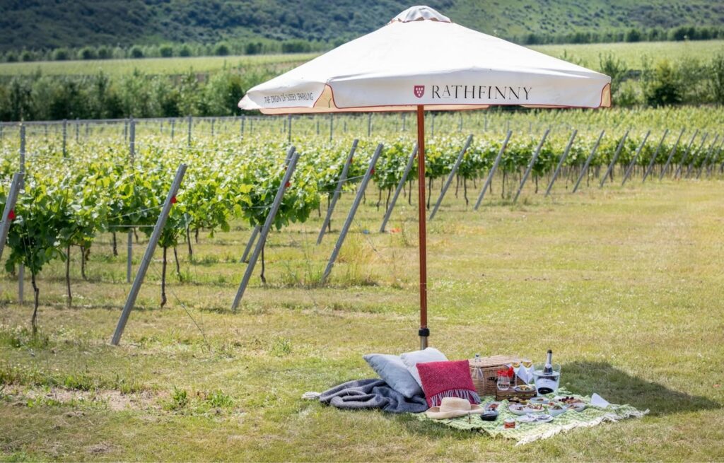 english wine week sussex