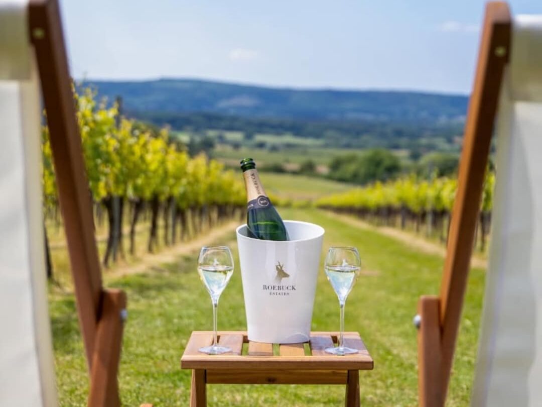 sussex winelands